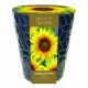 Grow Your Own Indoor Sunflower in Ceramic Pot