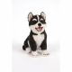 Siberian Huskie Pup 9x14x16cm