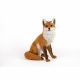 Sitting Fox 46x28x57cm