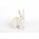 Sitting White Rabbit 31x19x34cm