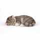 Sleeping Grey Cat 26x16x9cm
