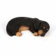 Sleeping Pup 30x17x8cm