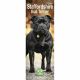 Staffordshire Bull Terrier 2023 Slim Calendar