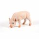 Standing Pig 48x26x29cm