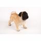 Standing Pug 25x12x18cm