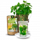 Baza Tea Garden - Lemon Balm