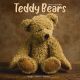 Teddy Bears 2025 Wall Calendar