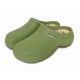 Town & Country Dragonfly Classic Cloggies® - Size 5