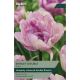 Tulip Shirley Double