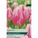 Tulip Bojangles