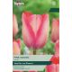 Tulip Pink Sound
