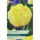Tulip Secret Perfume