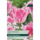 Tulip Huis Ten Bosch