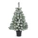 90cm Antarctic Spruce Christmas Tree