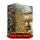 2000 TreeBright Multi-Action LED Christmas Lights - Red & Warm White