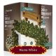 240 TreeBright Multi-Action LED Christmas Lights - Warm White