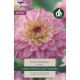 Dahlia Lucca Johanna