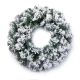 50cm Antarctic Spruce Wreath