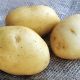 2kg Vitabella Seed Potatoes