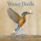 Water Birds 2024 Wall Calendar
