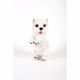 West Highland Terrier Pup 10x7x17cm
