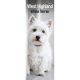 West Highland Terrier 2024 Slim Calendar