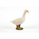 White Duck 35x17x37cm
