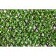 Wonderwal Trellis - Vine Leaf 100x200cm