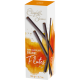 Elizabeth Shaw Orange Flutes 105g