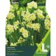 Narcissi Minnow (XL Value Pack)