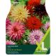 Dahlia Cactus Mix (XL Value Pack)