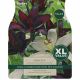 Lily Choc Ice Mix (XL Value Pack)