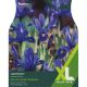 Iris Dwarf Harmony (XL Value Pack)
