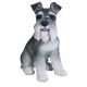 Real Life Miniature Schnauzer