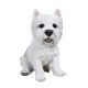 Real Life West Highland Terrier Sitting