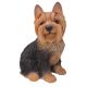 Real Life Yorkshire Terrier Sitting