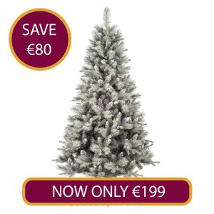 7ft Newgrange Fir Silver Christmas Tree