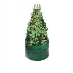 Bean & Pea Bag with Free Bean & Pea Ring
