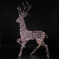2.0m Copper Acrylic Highland Stag with 810 White & Warm White Duo Bulb Lights
