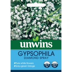 Gypsophila Diamond Spray