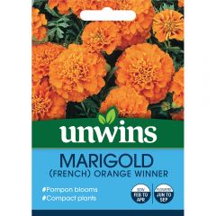 Marigold French Orange Winner