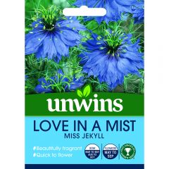 Love In A Mist Miss Jekyll