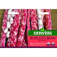 Borlotti Bean Tintoretto
