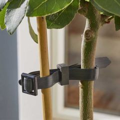 Buckle Rose & Shrub Ties (Pack of 4)