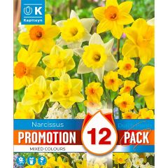 Narcissi Mixed Colours - Promotion Pack of 12 Bulbs