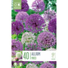 Allium Mixed Colours - Landscape Bag of 40 Bulbs