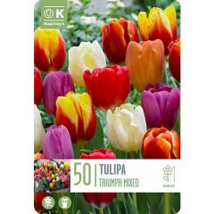 Tulip Triumph Mix - Landscape Bag of 50 Bulbs