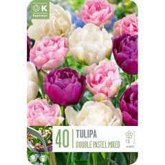 Tulip Double Pastel Mix - Landscape Bag of 40 Bulbs