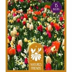 Nature's Friends Bulb Collection - Sunshine Shades