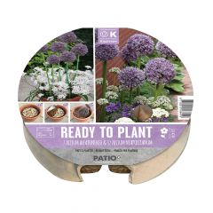 Plant-O-Mat Bulb Tray Ø 24cm Allium